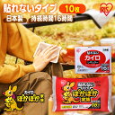 【10枚】カイロ 貼らないカイロ レギュラー 10枚 使い捨てカイロ まとめ買い 使い捨て 貼らない 貼れない 貼らないタイプ レジャー お出かけ 屋外 防寒 寒さ対策 防災 備蓄 アイリスオーヤマ ぽかぽか家族 *