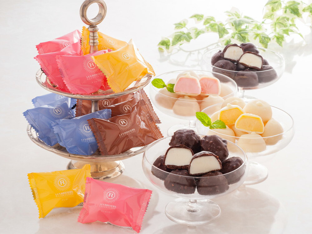 【40個】アイスクリーム 4種 スイーツ ギフト 銀座京橋 レ ロジェ エギュスキロール ショコラアイスボール A-SB アイス 贈り物 ギフトセット バニラ ストロベリー マンゴー お中元 御中元 夏 お歳暮 【TD】 【代引不可】