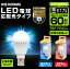 ŵ LEDŵ E17 ۸ Ĵ 60  LDA7N-G-E17/D-6V4ŵ忧 LDA7L-G-E17/D-6V4 LED  ʥ ŵ LED饤 60W  ŵ ꥹ ̵ 