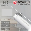 LEDu ACXI[} LEDv d Cg ECOHiLUX HE190S LDRD86TEN/25/45/19SP/R LED ledƖ Ɩ Ɩp ȃGl ߓd ǃv  LED Ɩ  u G13 ItBX ܂Ƃߔ