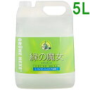 緑の魔女 キッチン業務用 5L食器用洗剤 液体洗剤 キッチン用洗剤 業務用 食器用洗剤キッチン用洗剤 ...