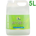 緑の魔女 キッチン業務用 5L食器用洗剤 液体洗剤 キッチン用洗剤 業務用 食器用洗剤キッチン用洗剤 食器用洗剤業務用 液体洗剤キッチン用洗剤 キッチン用洗剤食器用洗剤 業務用食器用洗剤 キッチン用洗剤液体洗剤 ミマスクリーンケア