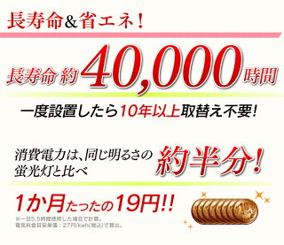 送料無料小型LEDシーリングライト450lm400lmSCL4N-ESCL4L-E昼白色電球色アイリスオーヤマ階段廊下玄関階段トイレクローゼットledライト天井照明おしゃれ節電照明簡単取付節電省エネminiled照明洋室和室工事不要照明器具