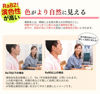 送料無料小型LEDシーリングライト450lm400lmSCL4N-ESCL4L-E昼白色電球色アイリスオーヤマ階段廊下玄関階段トイレクローゼットledライト天井照明おしゃれ節電照明簡単取付節電省エネminiled照明洋室和室工事不要照明器具