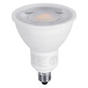 【最大500円OFFクーポン★新生活フェア】電球 LED ハロゲン形 50W形相当 Hanx-Home E11 ライト照明 ハロゲン型 色 HH-LDR6LM11W E11口金 ビーム角38° 長寿命 省エネ 節電 色 【D】【B】