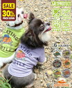 【30%OFF】 【ブランド直営】 ウェットプロテクト T タートルDOG ドッグ トップス Tシャツ 犬服 半袖 撥水 防汚 カレッジ 接触冷感 お揃い ペア...
