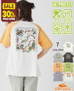 【30%OFF】【ブランド直営】 ウェットプロテクト ゆるT JAPAN レディース 半袖Tシャツ 汗染み防止 夏 バンダナ柄 接触冷感 撥水防汚 カジュアル ...