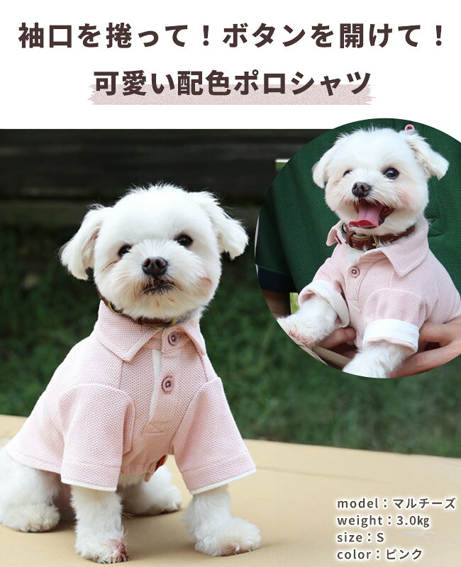 【ブランド直営】 冷感 リンクス カノコ ポロDOG ドッグ トップス ポロシャツ 犬服 無地 刺繍 接触冷感 爽やか お洒落 お揃い ペアルック 愛犬 着脱簡単 ボタン ペット カラフル 涼しい 抜け毛対策 KRIFF MAYER DOG クリフメイヤードッグ【2025SS】 e-alex-10019401 KRIFF MAYER 公式 楽天市場店 サンプル画像2