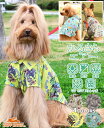 【ブランド直営】 かるさらエアー エンジョイ シャツDOG ドッグ トップス 開襟 犬服 半袖 撥水 防汚 総柄 UVカット お揃い ペアルック カジュアル 着...