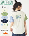 【ブランド直営】 冷感 プリント 柄ロゴ ゆる Tシャツ トップス 半袖 速乾 お揃い 春 夏 秋 ママ フライングラビット カジュアル お洒落 KRIFF M...