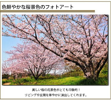 風景画　桜　サクラ　壁掛けキャンバスアート 春　植物 自然 緑 グリーン 日本 ギフト 母の日 プレゼントアートポスター ウォールアート ファブリックアート ファブリックパネル インテリア雑貨 ジグレー版画 ジクレー ジークレー おしゃれ