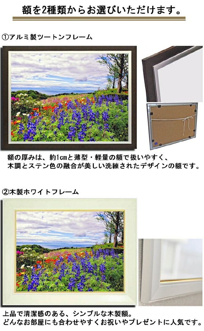 壁掛けアート アートパネル 風景画 フォトグラファー Y2 Hiro 写真 額縁付き 花畑 植物 花 木 自然 母の日 花 ギフト インテリア雑貨 キャンバスジグレー版画 エアルトアート 壁掛けアート アートパネル 風景画 フォトグラファー Y2 Hiro 写真 額縁付き 花畑 植物 花 木 自然 母の日 花 ギフト インテリア雑貨 キャンバスジグレー版画 エアルトアート