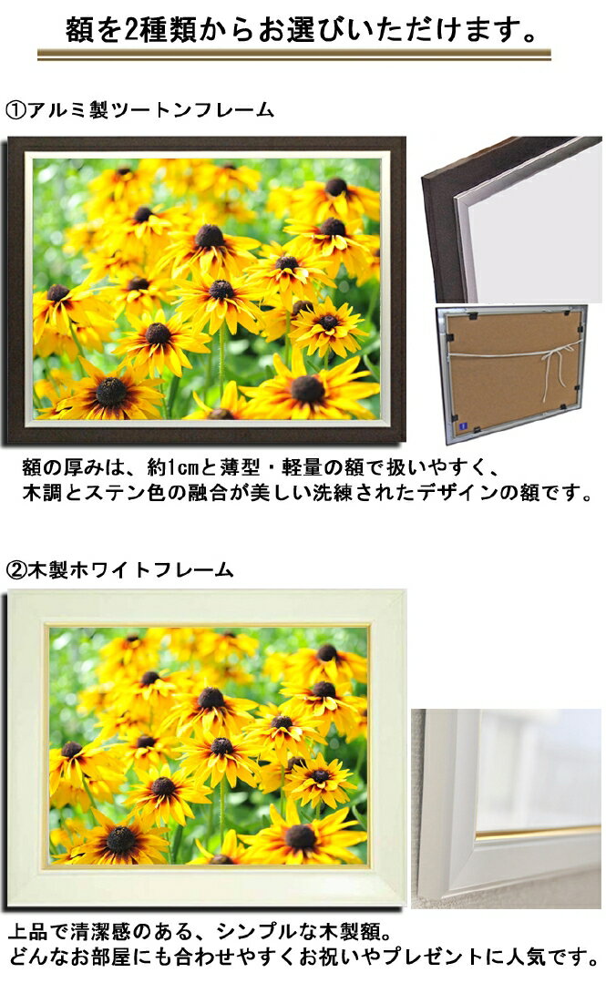 壁掛けアート アートパネル 風景画 フォトグラファー Y2 Hiro 写真 額縁付き ひまわり 向日葵 植物 黄色 緑 夏 自然 母の日 花 ギフト インテリア雑貨 キャンバスジグレー版画 エアルトアート