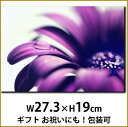 壁掛けアート アートパネル 風景画 写真 P3 紫の花 水滴 マクロ 植物 自然 母の日 花 ギフト インテリア雑貨 キャンバスジグレー版画