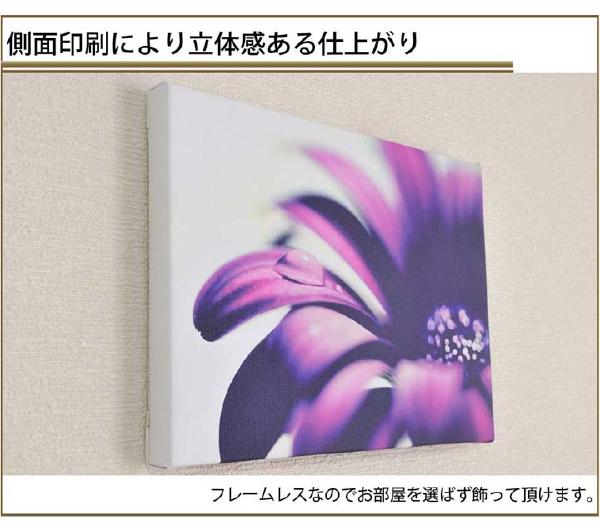 壁掛けアート アートパネル 風景画 フォトグラファー y2-hiro 写真 P3 紫の花 水滴 マクロ 植物 自然 母の日 花 ギフト インテリア雑貨 キャンバスジグレー版画