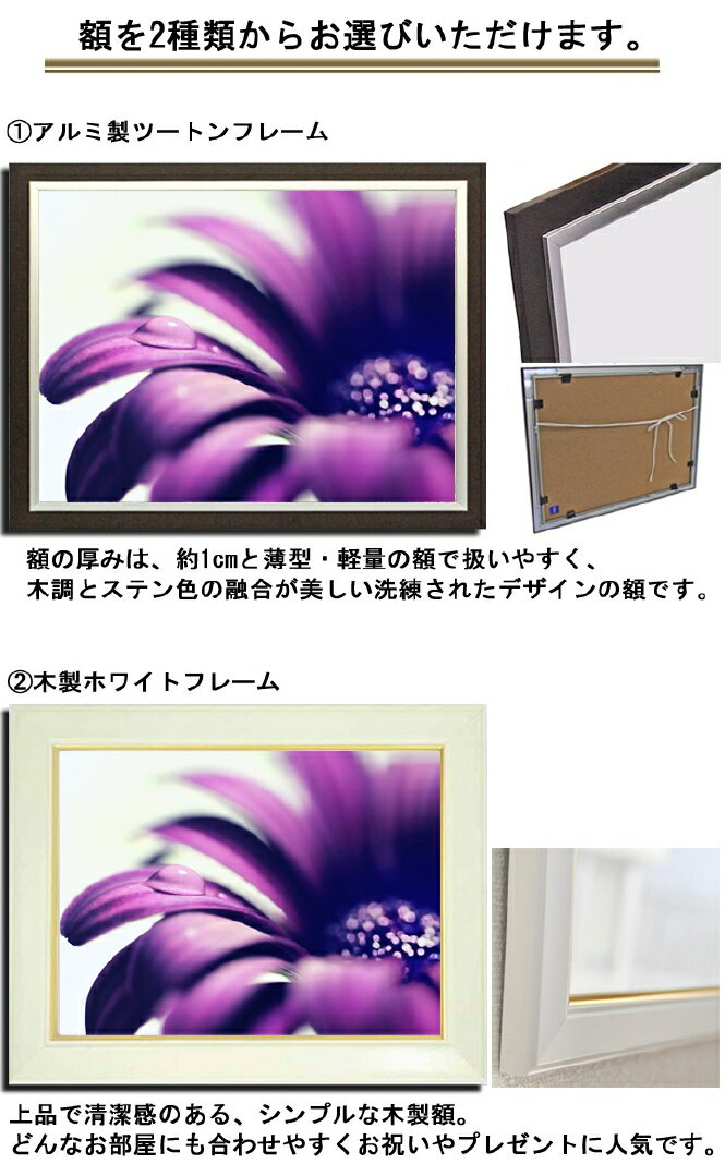 安い 新作壁掛けアート アートパネル 風景画 フォトグラファー Y2 Hiro 写真 額縁付き 紫の花 水滴 マクロ 植物 自然 母の日 花 ギフト インテリア雑貨 キャンバスジグレー版画 エアルトアート 安い 新作壁掛けアート アートパネル 風景画 フォトグラファー Y2 Hiro 写真 額縁付き 紫の花 水滴 マクロ 植物 自然 母の日 花 ギフト インテリア雑貨 キャンバスジグレー版画 エアルトアート