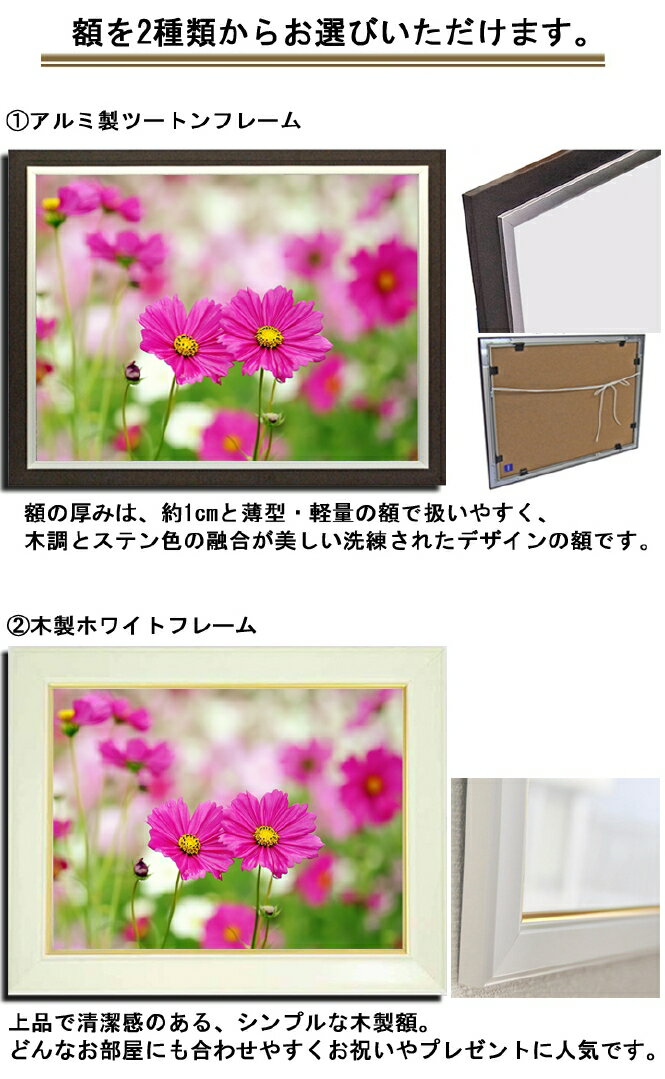 壁掛けアート アートパネル 風景画 フォトグラファー y2-hiro 写真 額縁付き コスモス 秋桜 二輪 植物 緑 ピンク 自然 秋 母の日 花 ギフト インテリア雑貨 キャンバスジグレー版画