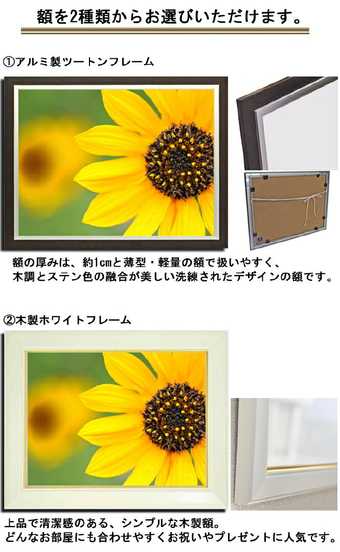 壁掛けアート アートパネル 風景画 フォトグラファー Y2 Hiro 写真 額縁付き ひまわり 向日葵 植物 黄色 夏 自然 母の日 花 ギフト インテリア雑貨 キャンバスジグレー版画 エアルトアート 壁掛けアート アートパネル 風景画 フォトグラファー Y2 Hiro 写真 額縁付き ひまわり 向日葵 植物 黄色 夏 自然 母の日 花 ギフト インテリア雑貨 キャンバスジグレー版画 エアルトアート
