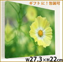 コスモス 秋桜 壁掛けキャンバスアート 秋 花 植物 自然 黄色 緑 グリーン 日本 ギフト 母の日 プレゼントアートポスター ウォールアート ファブリックアー...