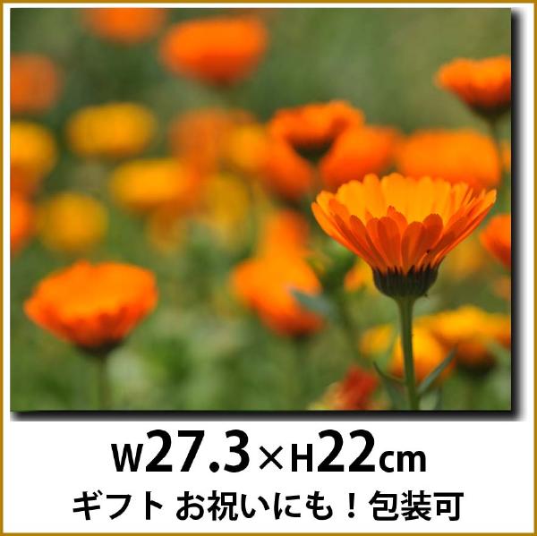 ガーベラ　壁掛けキャンバスアート 春　夏　秋　花　植物 自然 オレンジ　緑 グリーン 日本 ギフト 母の日 プレゼント ファブリックアート ファブリックパネル インテリア雑貨 ジグレー版画 ジクレー