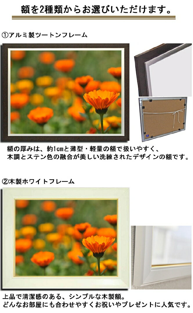 壁掛けアート アートパネル 風景画 フォトグラファー Y2 Hiro 写真 額縁付き ガーベラ 植物 緑 オレンジ 自然 母の日 花 ギフト インテリア雑貨 キャンバスジグレー版画 エアルトアート