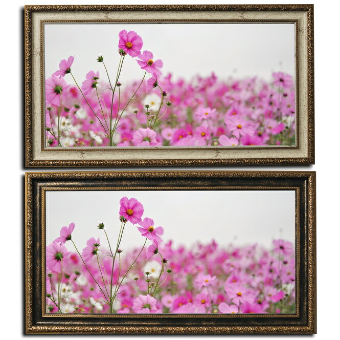 壁掛けアートアートパネル風景画フォトグラファーy2-hiro写真ワイド額付きコスモス秋桜植物緑ピンク自然秋母の日花ギフトインテリア雑貨キャンバスジグレー版画