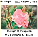 壁掛けアート アートパネル 風景画 フォトグラファー y2-hiro 写真 P3 バラ 薔薇 一輪 植物 緑 ピンク 自然 春 夏 母の日 花 ギフト インテリア雑貨 キャンバスジグレー版画