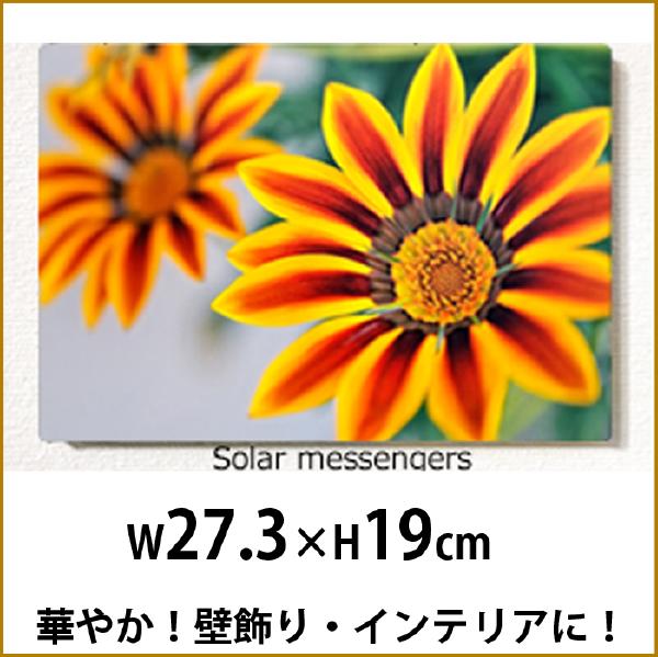 壁掛けアート アートパネル 風景画 写真 P3 黄色い花 マクロ 植物 黄 自然 母の日 花 ギフト インテリア雑貨 キャンバスジグレー版画