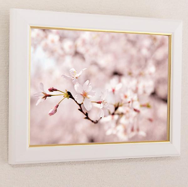 壁掛けアート アートパネル 風景画 フォトグラファー y2-hiro 写真 A4 額縁付き 桜 サクラ マクロ 植物 ピンク 自然 母の日 花 ギフト インテリア雑貨 キャンバスジグレー版画