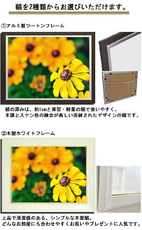 おすすめネット特価 の壁掛けアート 風景画 フォトグラファー 母の日 風景画 写真 黄色い花 Y2 Hiro 絵 緑 自然 植物 額縁付き アートパネル オレンジ 母の日 花 ギフト インテリア雑貨 キャンバスジグレー版画 エアルトアート 壁掛けアート アートパネル 風景画 おすすめネット特価 の壁掛けアート 風景画 フォトグラファー 母の日 風景画 写真 黄色い花 Y2 Hiro 絵 緑 自然 植物 額縁付き アートパネル オレンジ 母の日 花 ギフト インテリア雑貨 キャンバスジグレー版画 エアルトアート 壁掛けアート アートパネル 風景画
