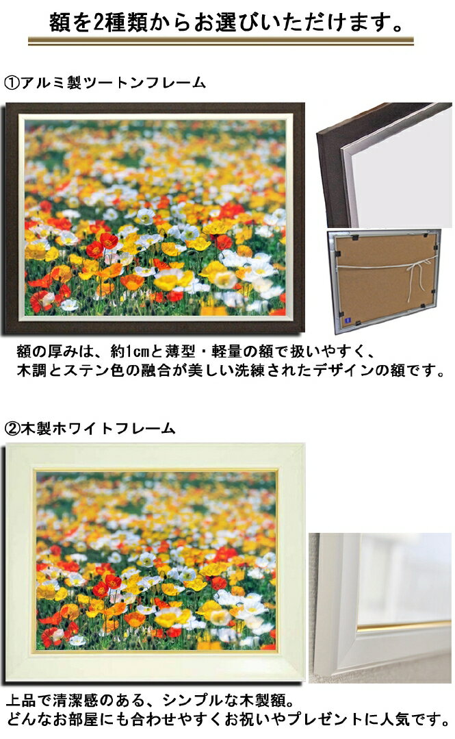 壁掛けアート アートパネル 風景画 フォトグラファー Y2 Hiro 写真 額縁付き ポピー 花畑 植物 オレンジ 黄 自然 母の日 花 ギフト インテリア雑貨 キャンバスジグレー版画 エアルトアート 壁掛けアート アートパネル 風景画 フォトグラファー Y2 Hiro 写真 額縁付き ポピー 花畑 植物 オレンジ 黄 自然 母の日 花 ギフト インテリア雑貨 キャンバスジグレー版画 エアルトアート