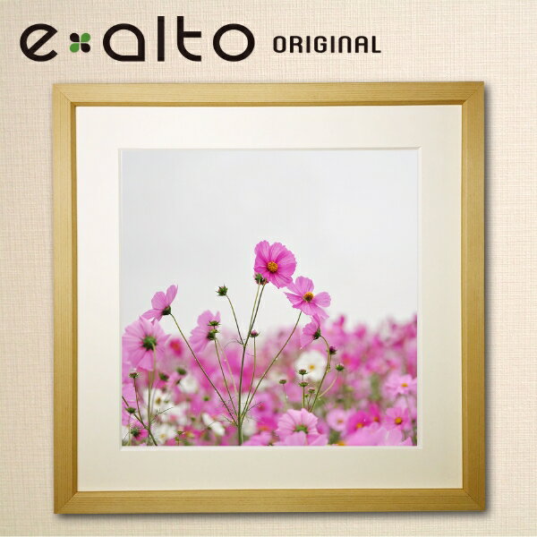 壁掛けアート 額縁付アートパネル 美しいコスモス 秋桜 植物/の風景画/y2-hiro ジクレープリント額縁付き