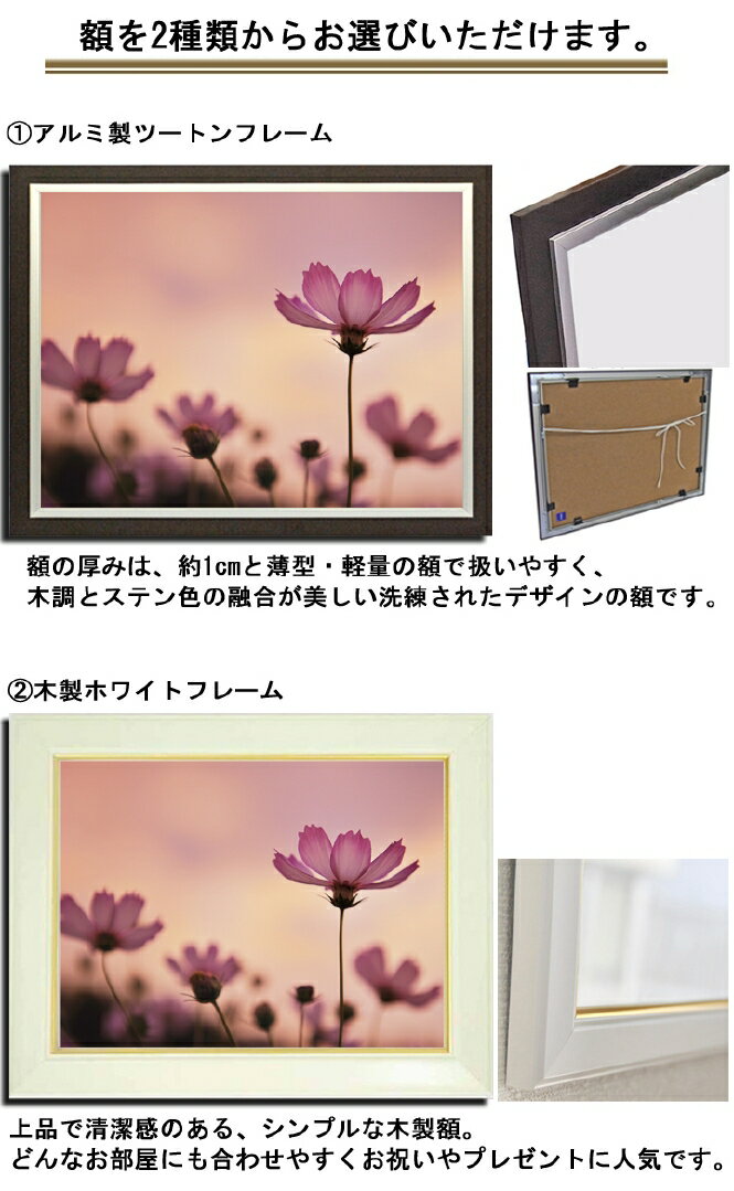 送料無料 品質保証壁掛けアート アートパネル 風景画 フォトグラファー Y2 Hiro 写真 額付き コスモス 秋桜 夕景 植物 ピンク 自然 秋 母の日 花 ギフト インテリア雑貨 キャンバスジグレー版画 エアルトアート 送料無料 品質保証壁掛けアート アートパネル 風景画 フォトグラファー Y2 Hiro 写真 額付き コスモス 秋桜 夕景 植物 ピンク 自然 秋 母の日 花 ギフト インテリア雑貨 キャンバスジグレー版画 エアルトアート