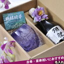 名入れ SXX 酒セット 日本酒 獺祭 純米大吟醸 45 180ml & 琉球ガラス 源河源吉 1カラータルグラス 紫 コサージュ付 ギフトBOX入り