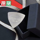 名入れ MXX ピック オリジナル ステンレス ギターピック 0.3mm ギフトBOX入り