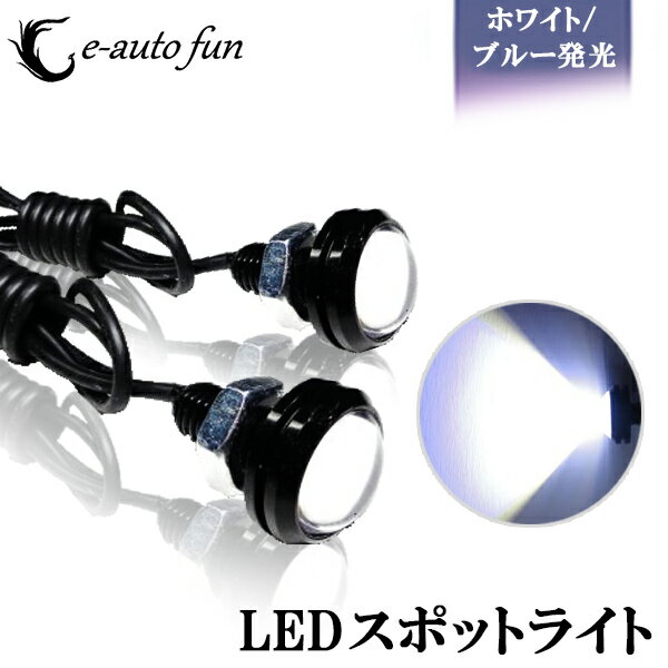 送料無料 LED スポットライト 計6W 大