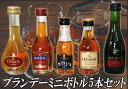 ブランデーミニボトル 5本セット　30ml×5本【送料無料】【洋酒】