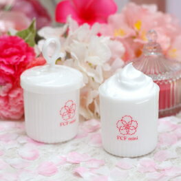 FCFmini フェイスクレンジングフォーマーミニ あわわ マイクロバブルフォーマー トラベル 携帯 旅行 クリーム 泡立て容器 美容 美肌 洗顔 石鹸 アトピー 乾燥肌 ニキビ 泡立てネット 敏感肌 バス用品 お風呂 洗顔泡立て器 メーカー直販 肌荒れ対策 泡洗顔