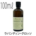 フレーバーライフ(エッセンシャルオイル/アロマオイル/精油)ラバンディン・グロッソ(100ml)【エッセンス リラックス リフレッシュ 高品質 フレグランス フレグランスオイル 入浴剤 お風呂 バスタイム 半身浴 アロマバス アロマ バス】(4)