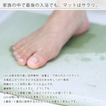 【送料無料】「soil」バスマット50×30(グリーン)【ソイル 珪藻土 bathmat イスルギ 吸水 速乾 エコ ナチュラル 洗濯不要 自然素材 足ふきマット 足拭きマット ギフト プレゼント 新築祝 おしゃれ】【あす楽】