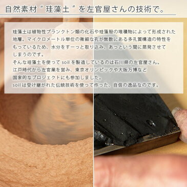 【送料無料】「soil」バスマット50×30(グリーン)【ソイル 珪藻土 bathmat イスルギ 吸水 速乾 エコ ナチュラル 洗濯不要 自然素材 足ふきマット 足拭きマット ギフト プレゼント 新築祝 おしゃれ】【あす楽】