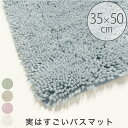 バスマット 速乾「実はすごいバスマット」バスマット(35×50)【お風呂 マット 足拭き 足ふきマット 抗菌 防臭 防カビ おしゃれ ナチュラル ギフト 引っ越し祝 新築祝 新生活】(3)