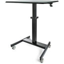 StarTech.com 昇降デスク/キャスター付き/ワンタッチ高さ調節レバー/耐荷重30kg(STSCART2) 目安在庫=△【5月ポイント10倍】(3)