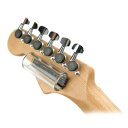 Planet Waves Glass D-Slyde Large(PW...(2)