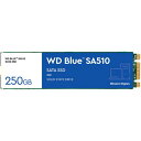 WESTERN DIGITAL WDS250G3B0B WD Blue SA510 SSD SATA6Gb/s 250GB M.2 2280 目安在庫=○
