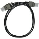 シスコシステムズ 1M Type 1 Stacking Cable(STACK-T1-1M=) 目安在庫=△