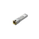 ネットギア SFP+ 10GBASE-Tモジュール(AXM765-20000S) 目安在庫=△