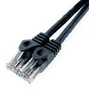 ホーリック horic ホーリック LANケーブル UTP カテゴリー6A 10m ブラック LC100-582RB メーカー在庫品