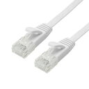 ホーリック horic LANケーブル UTP カテゴリー6A フラット 1m ホワイト(LC10-035FW) メーカー在庫品