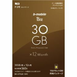 日本通信 b-mobile Biz SIMパッケージ DC/マルチ BM-GTPLBC-12MC 目安在庫= 